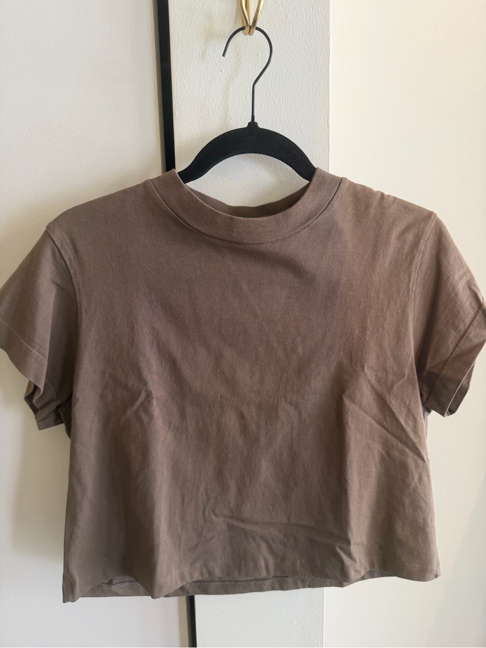 Agolde Taupe Cropped Tee